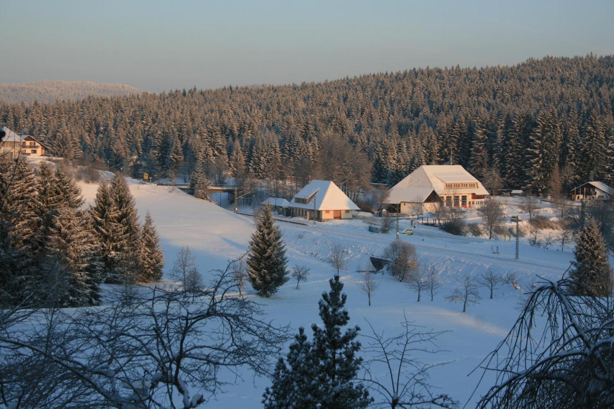 Hotel Waldeck Feldberg  Exterior foto