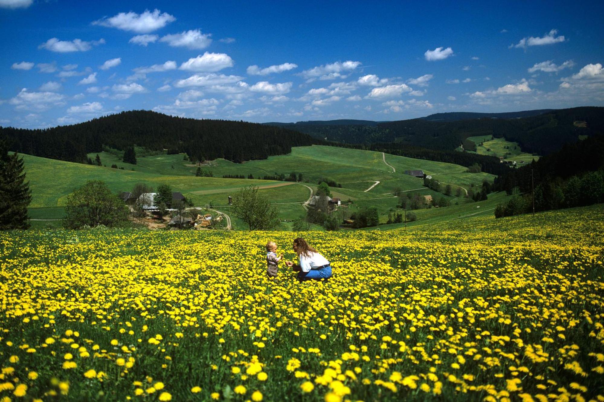 Hotel Waldeck Feldberg  Exterior foto